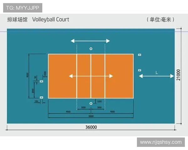 杭州排球队个人能力分析与表现评估研究报告