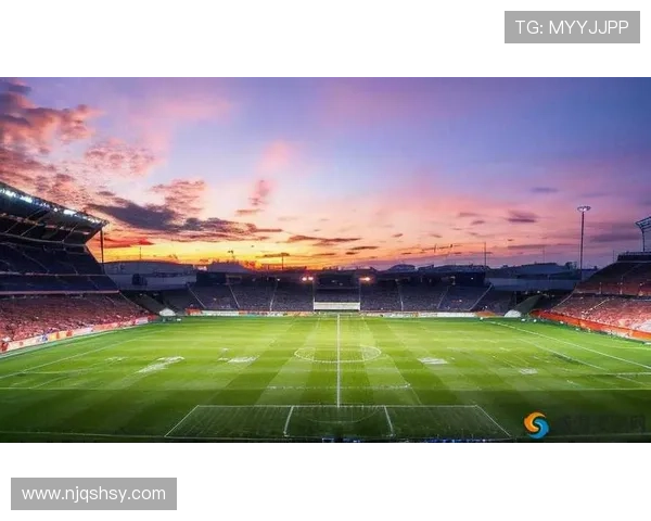 足球巨星与偶像的奇妙邂逅在绿茵场上的梦想与现实交织